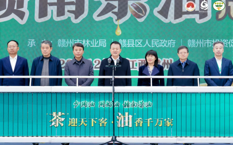千年客家山茶油浑身是宝   赣州首办展销会力推“赣南茶油”