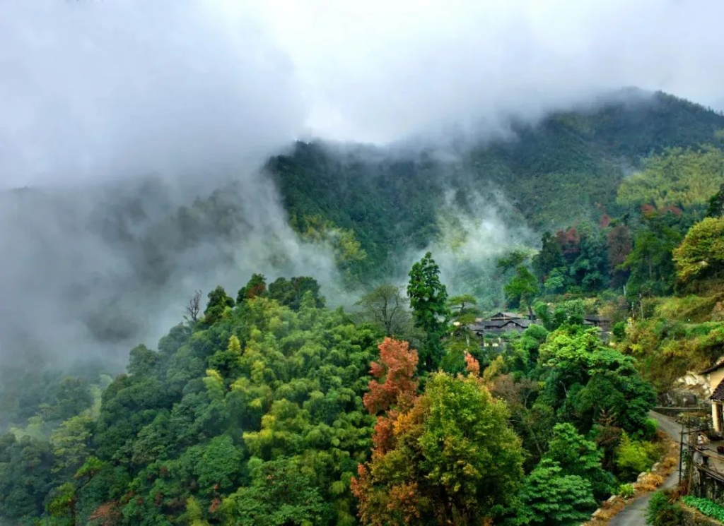 藏在浙江深山中的客家古村，历经300年仍完好保存