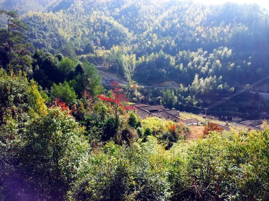 藏在浙江深山中的客家古村，历经300年仍完好保存