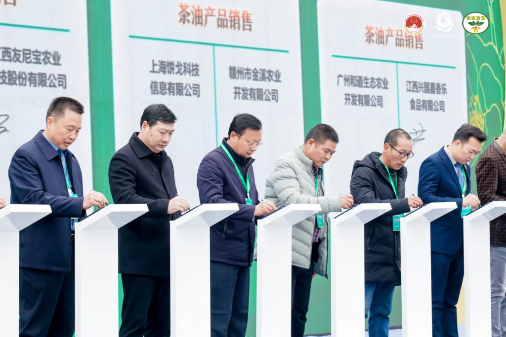 千年客家山茶油浑身是宝   赣州首办展销会力推“赣南茶油”
